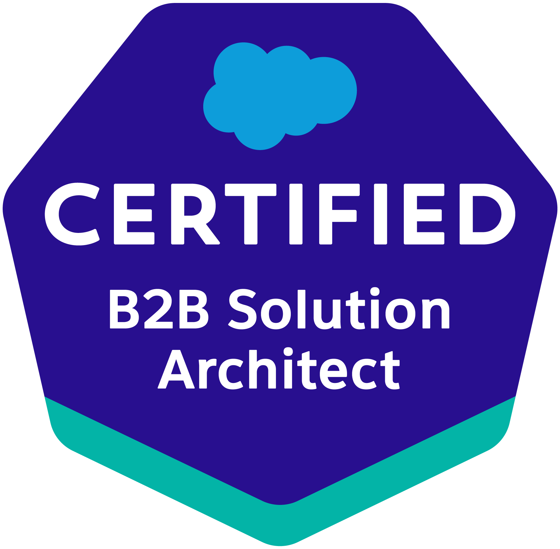 B2B Solution Architect