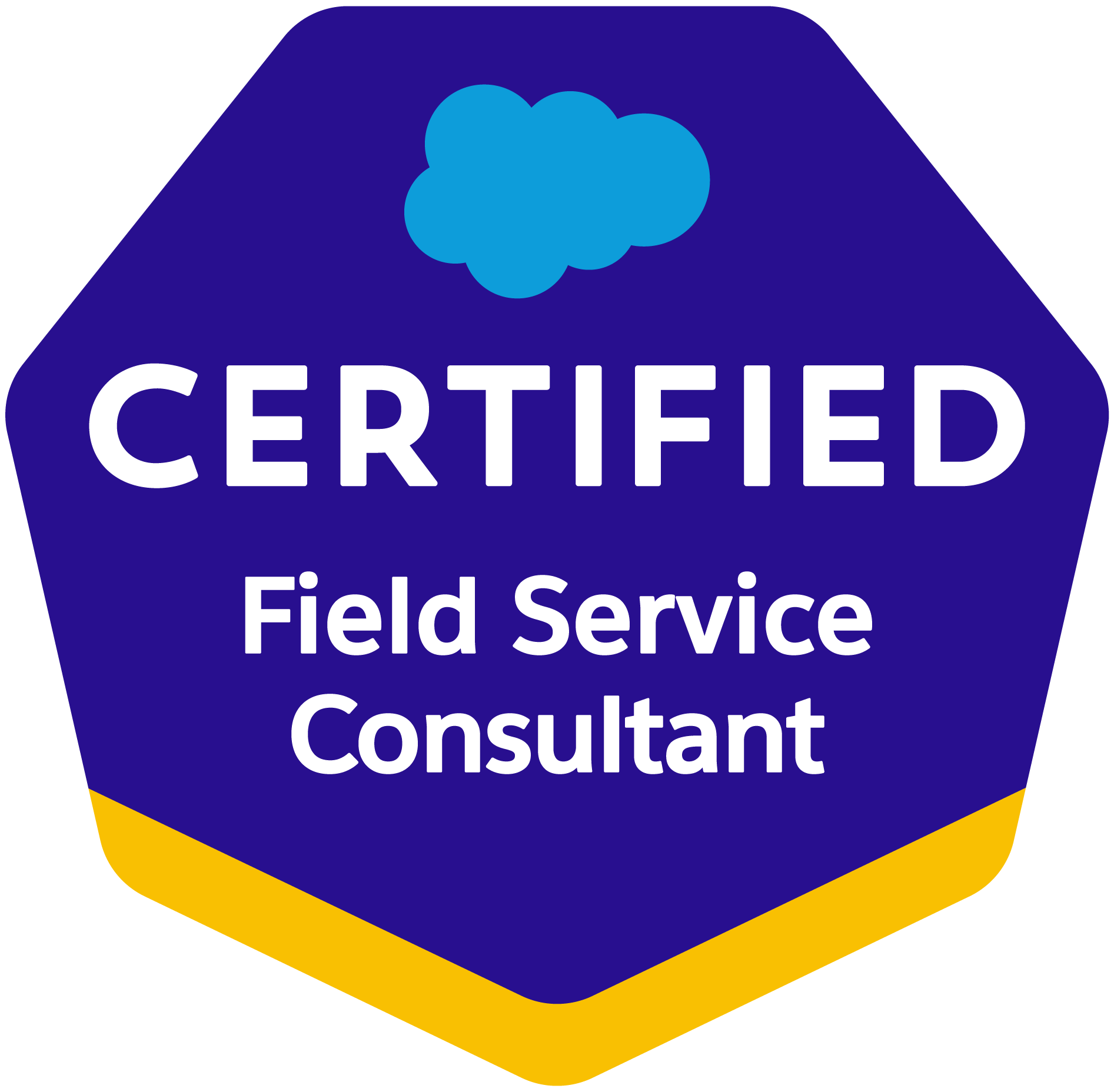 Field Service Consultant